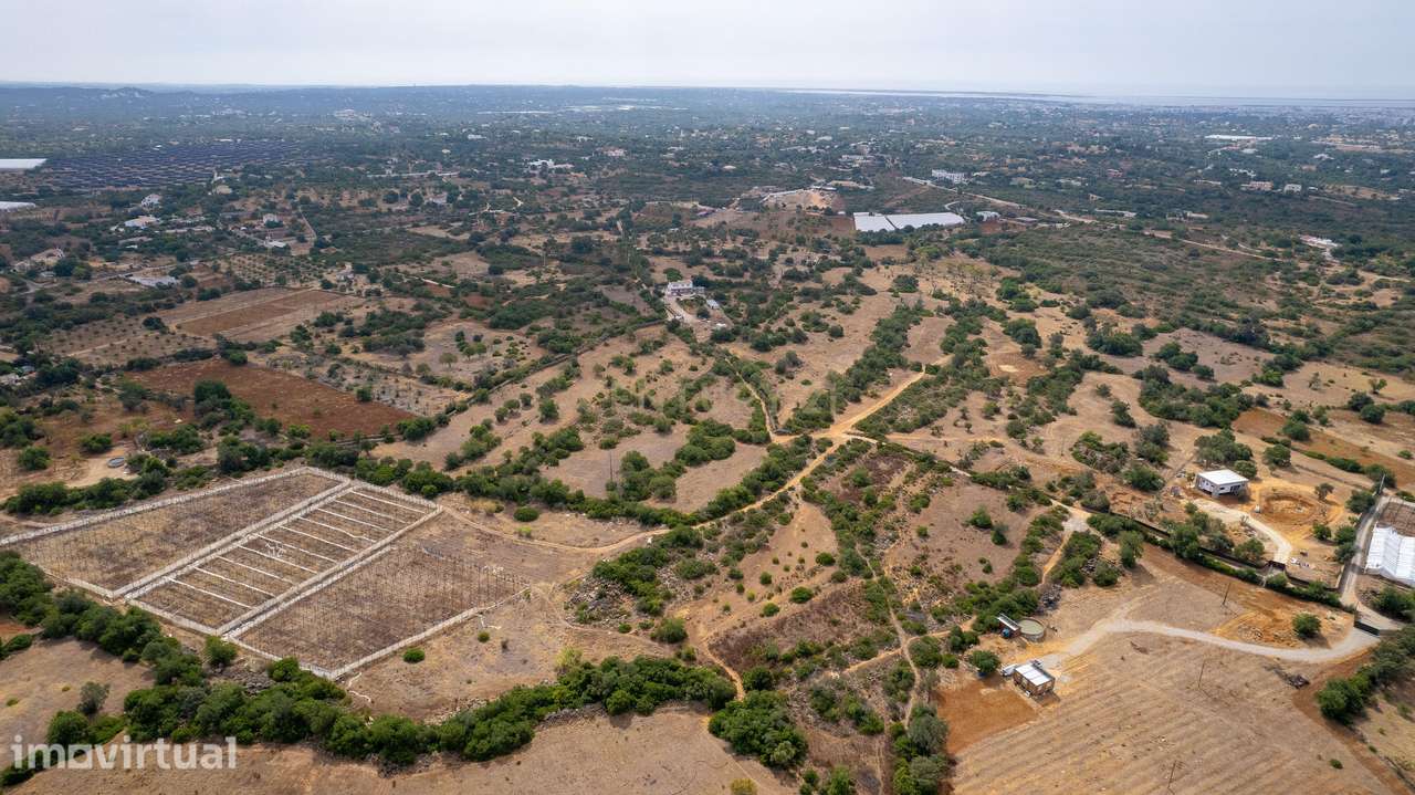 Terreno Rústico de 3.650 m² entre Pechão e Estoi - Grande imagem: 4/11