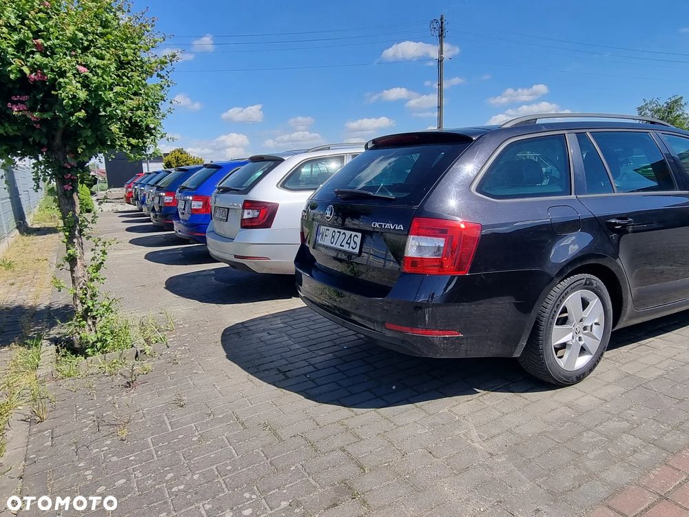 Skoda Octavia 1.6 TDI Ambition - 12