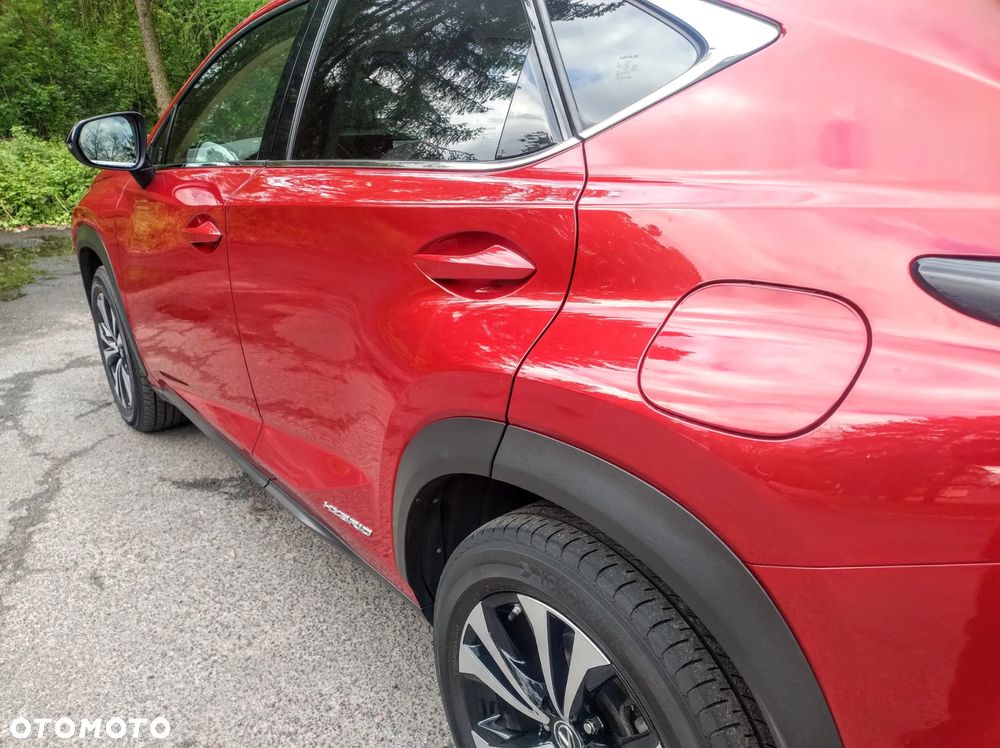 Lexus NX 300h F Impression AWD - 16