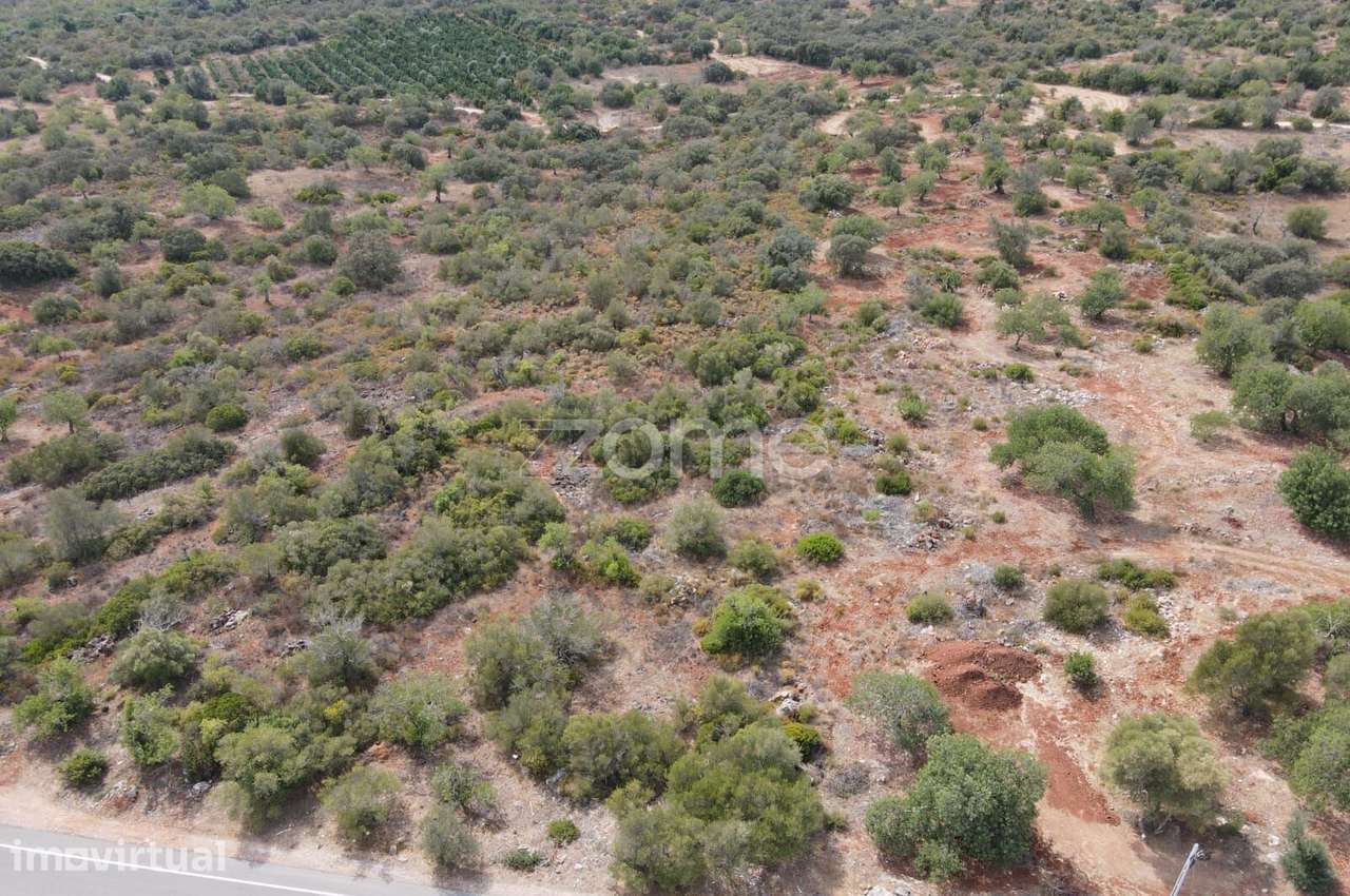 Terreno Rústico com 15.518 m² em Benafim - Grande imagem: 4/15
