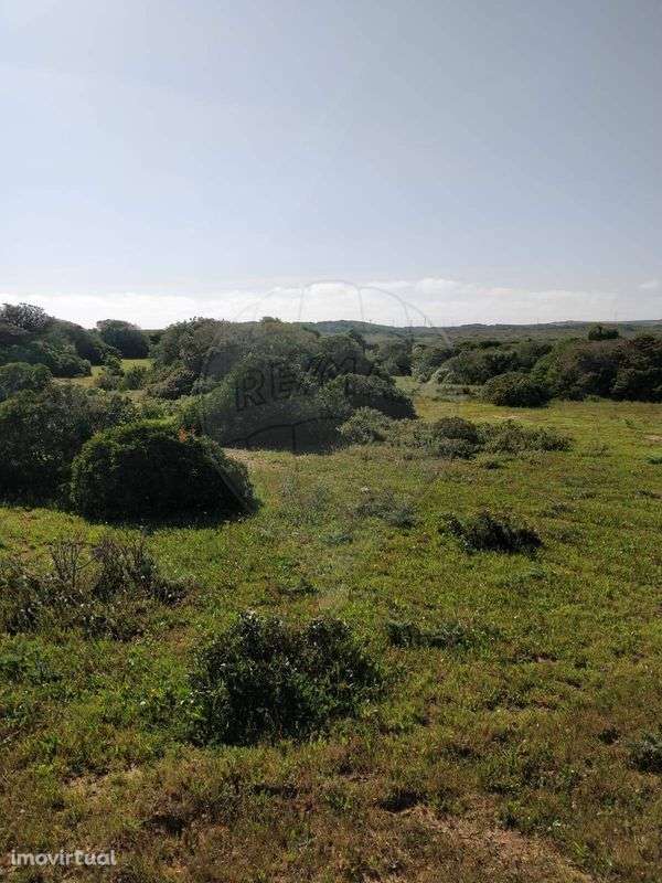 Terreno  para venda - Grande imagem: 4/11