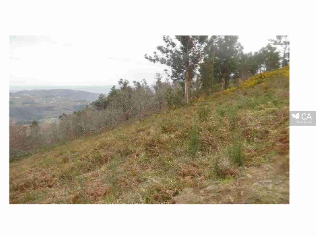 Terreno - Grande imagem: 2/2
