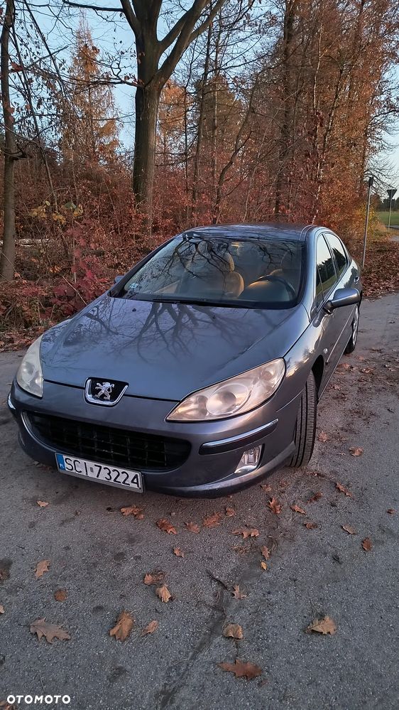 Peugeot 407 2.0 HDI ST Komfort EU4 - 1
