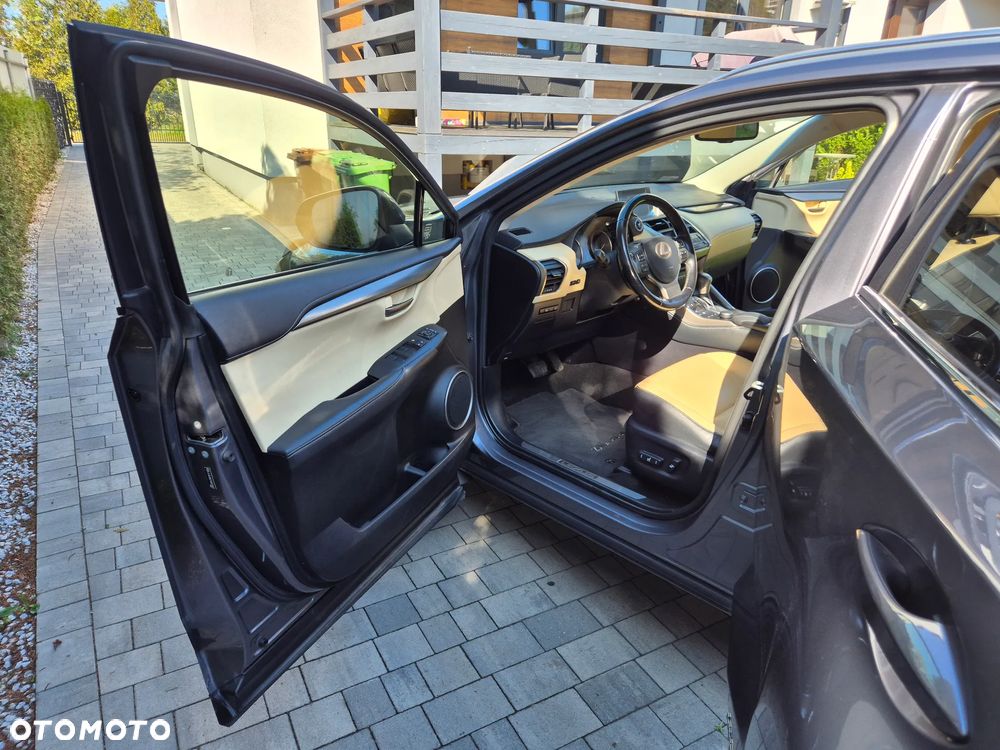 Lexus NX 300h Business Edition AWD - 11