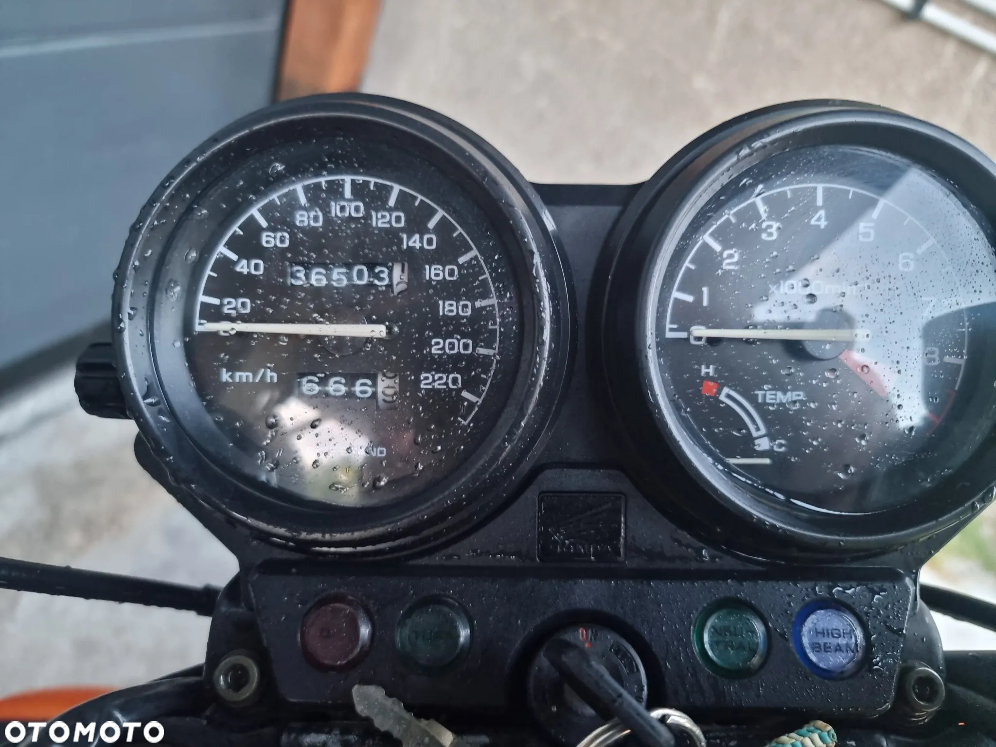 Honda NTV - 8