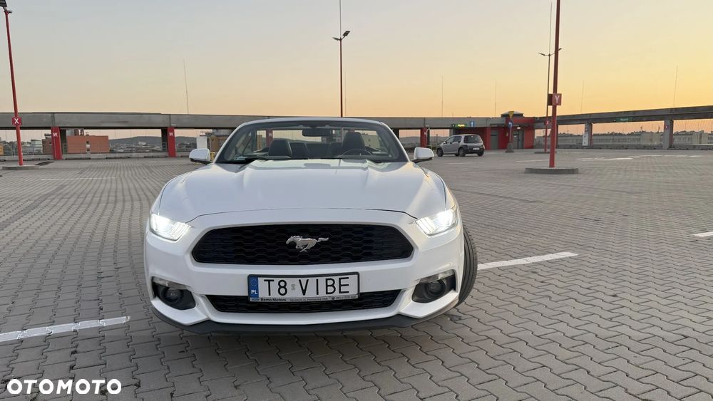 Ford Mustang Cabrio 2.3 Eco Boost - 15