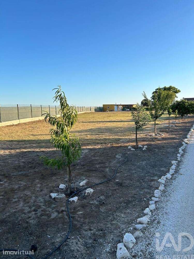 Quinta T2 em Benfica do Ribatejo de 200 m2 - Grande imagem: 5/17