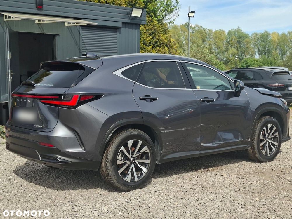 Lexus NX - 14