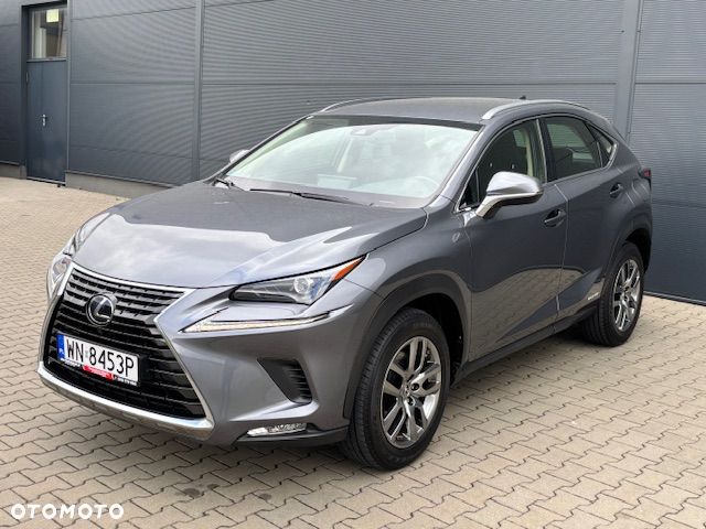 Lexus NX - 12