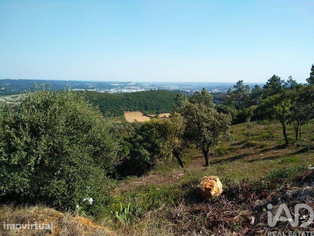 Terreno para construção em Rio Maior - Grande imagem: 5/22