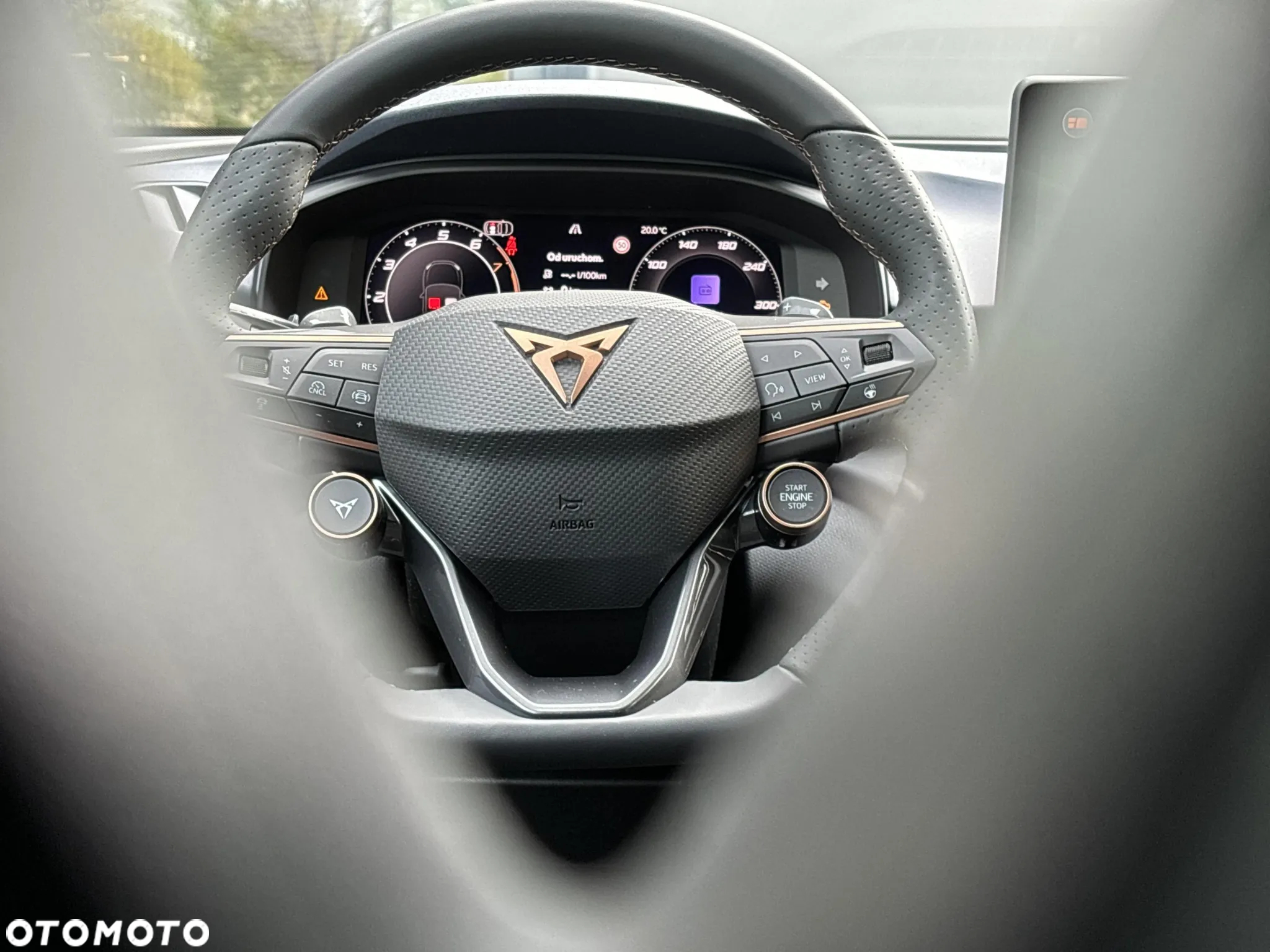 Cupra Terramar - 14
