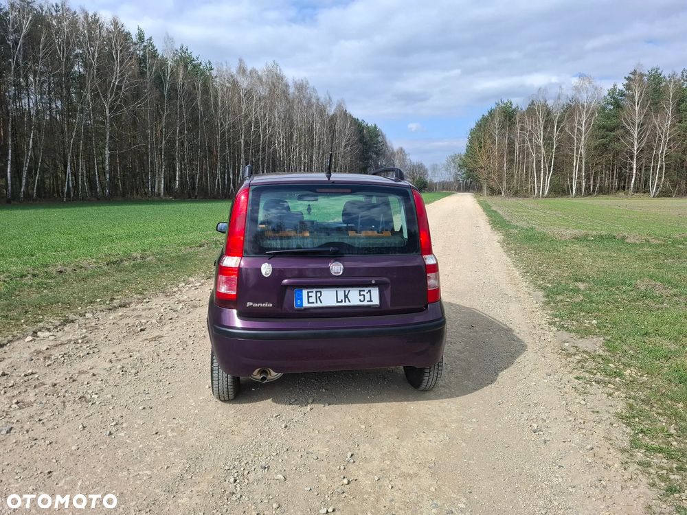 Fiat Panda 1.2 Active - 15