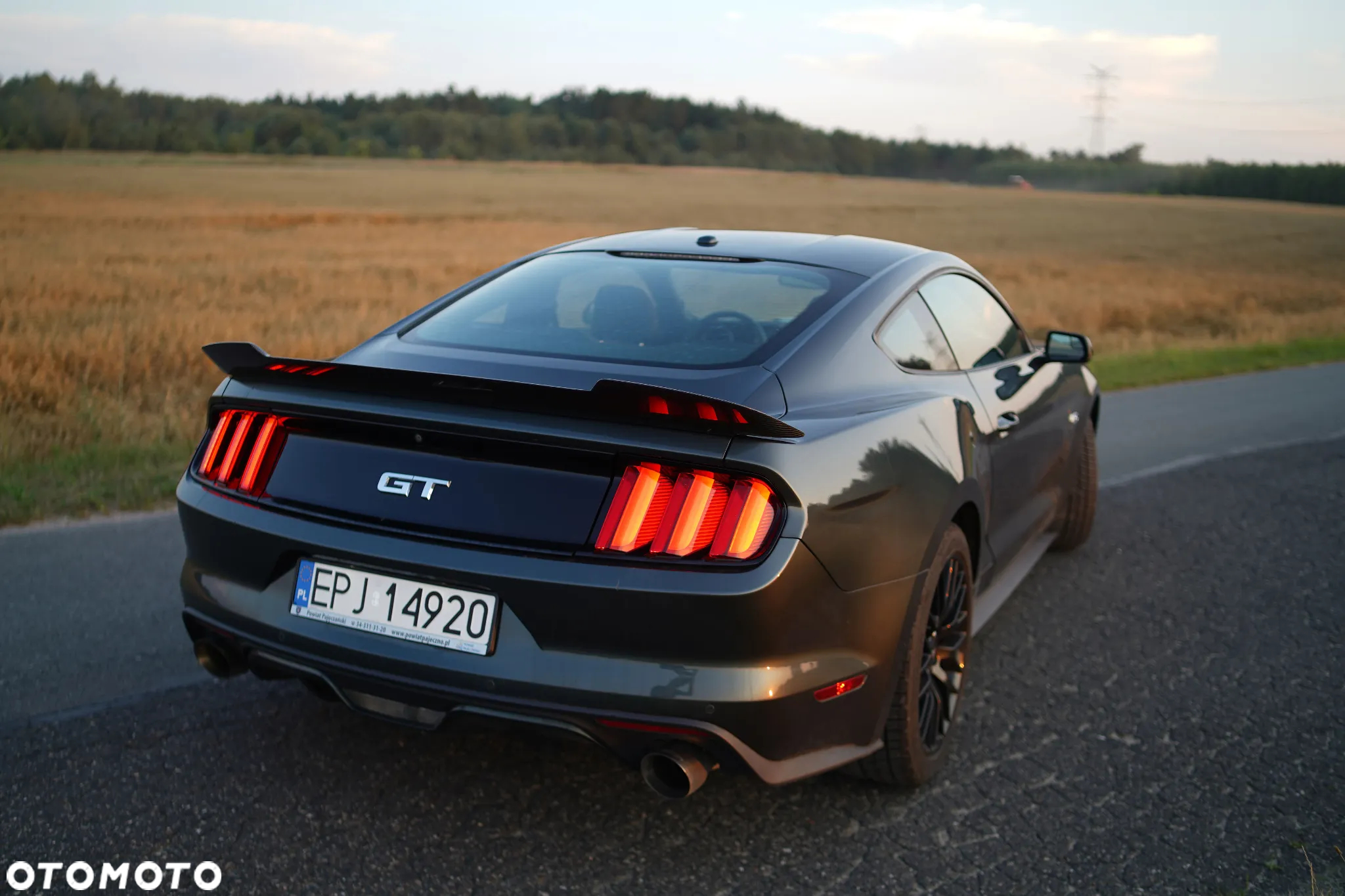 Ford Mustang 5.0 V8 GT - 9