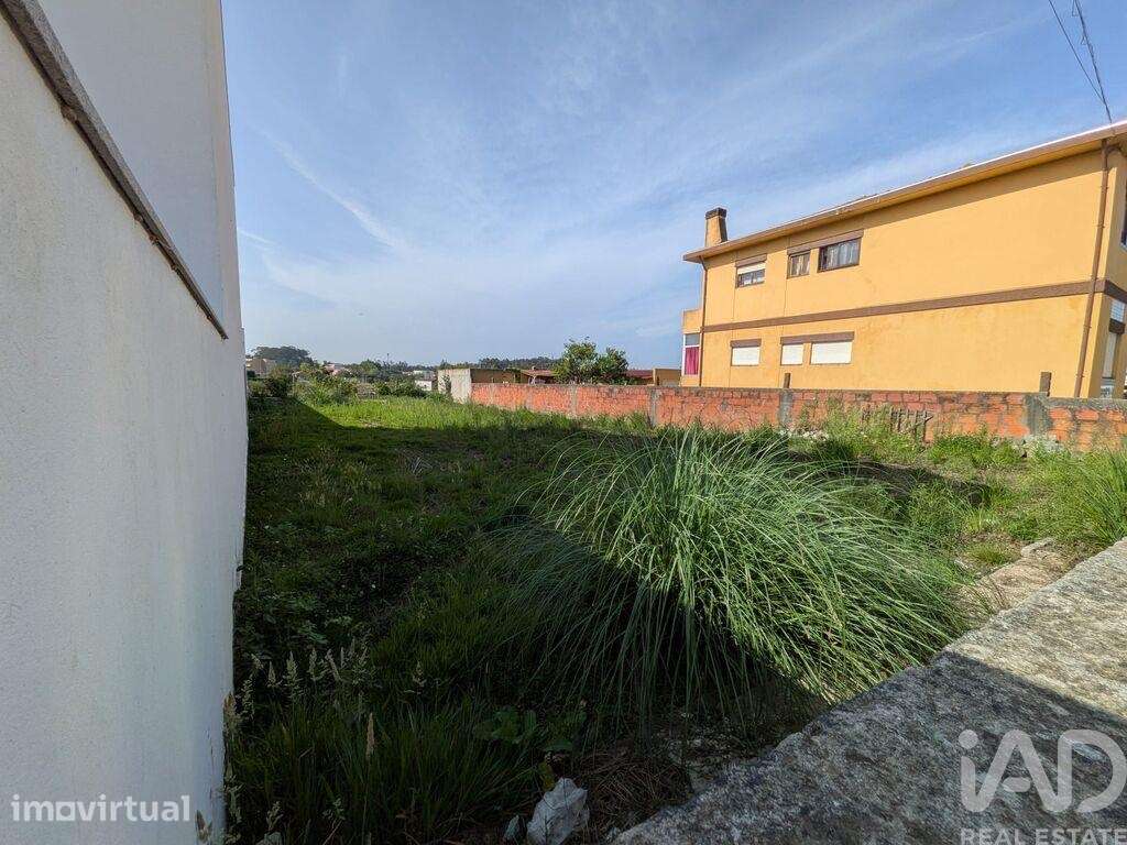 Terreno para construção em Madalena - Grande imagem: 5/9