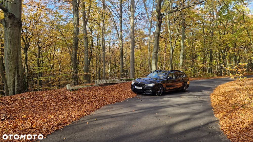 BMW Seria 3 330d Blue Performance Luxury Line - 8