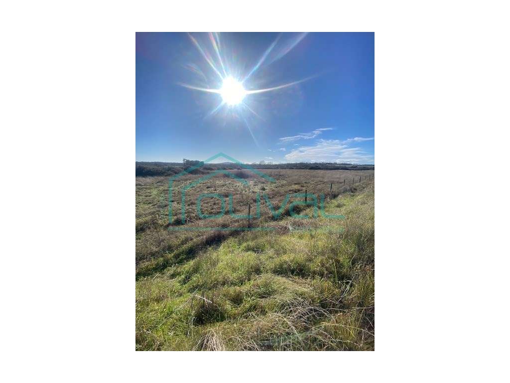 Terreno à venda em Oledo - Grande imagem: 5/10