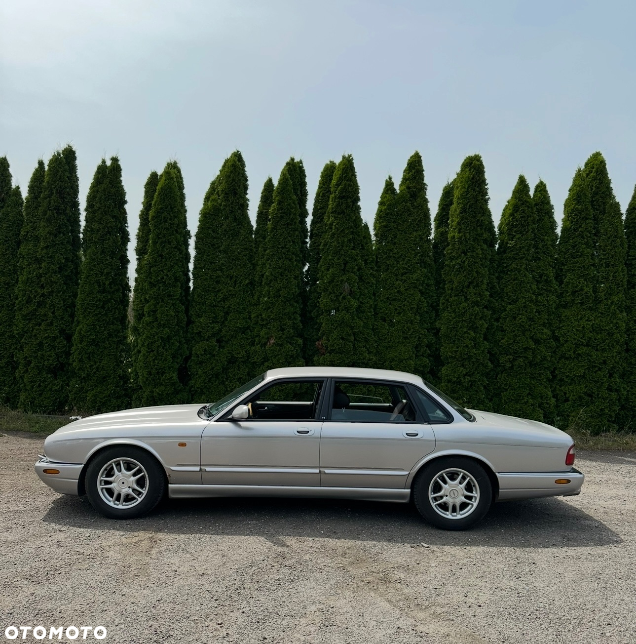 Jaguar XJR Standard - 10
