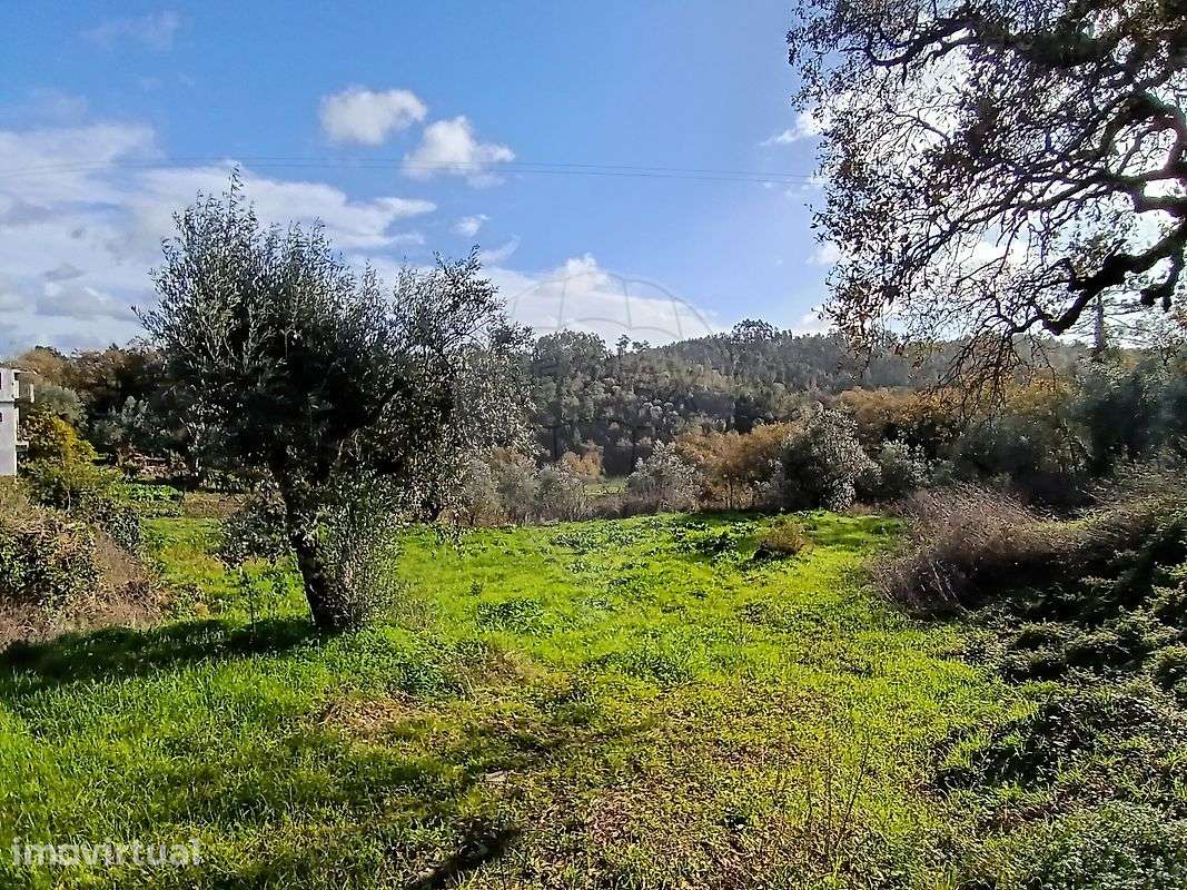 Terreno  para venda - Grande imagem: 2/8