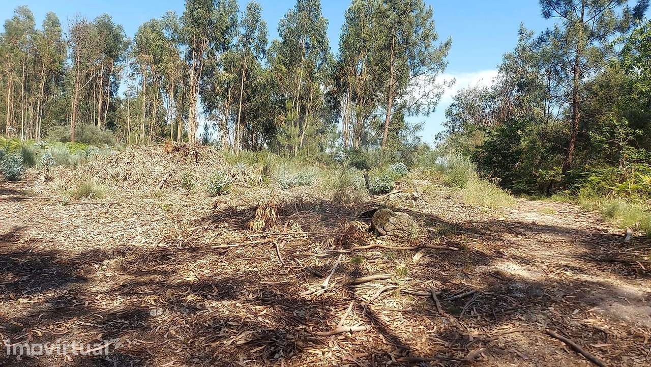 Terreno  para venda - Grande imagem: 5/9