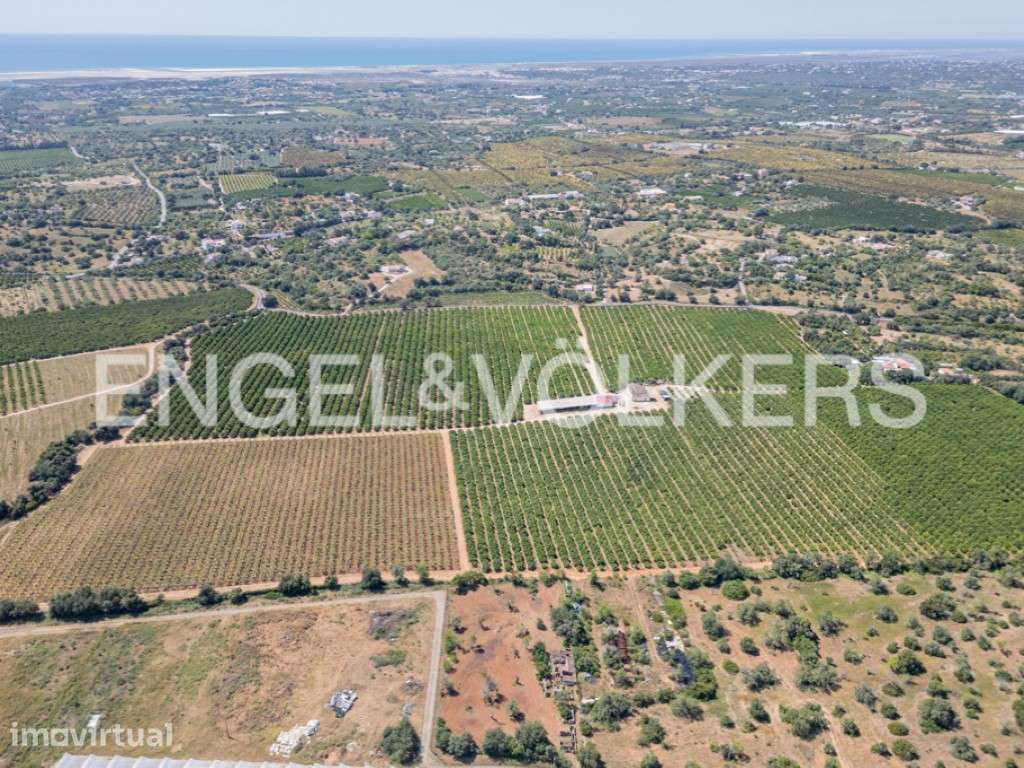 Lote Urbano com Terreno Agrícola e Potencial - Grande imagem: 3/29