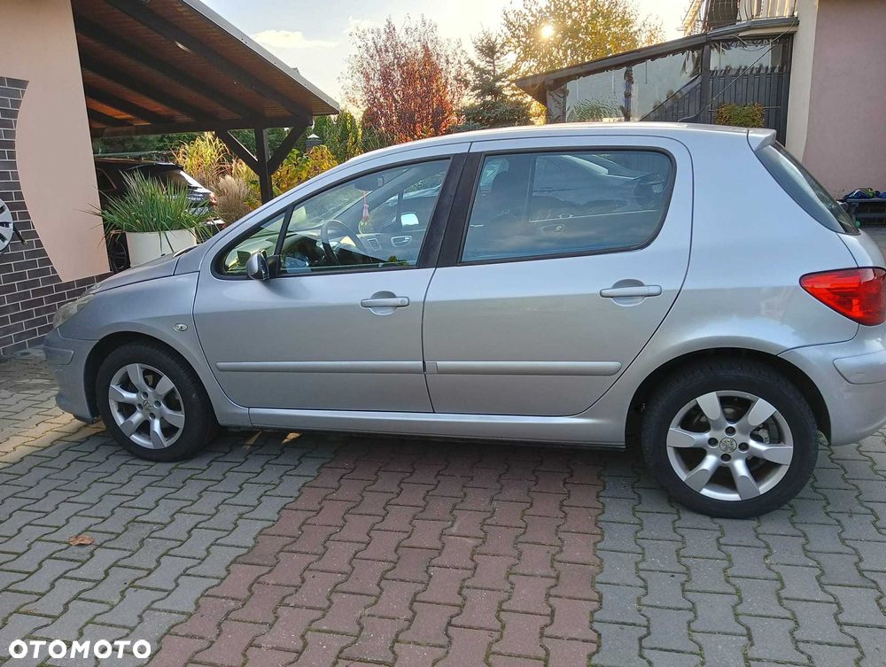 Peugeot 307 - 3