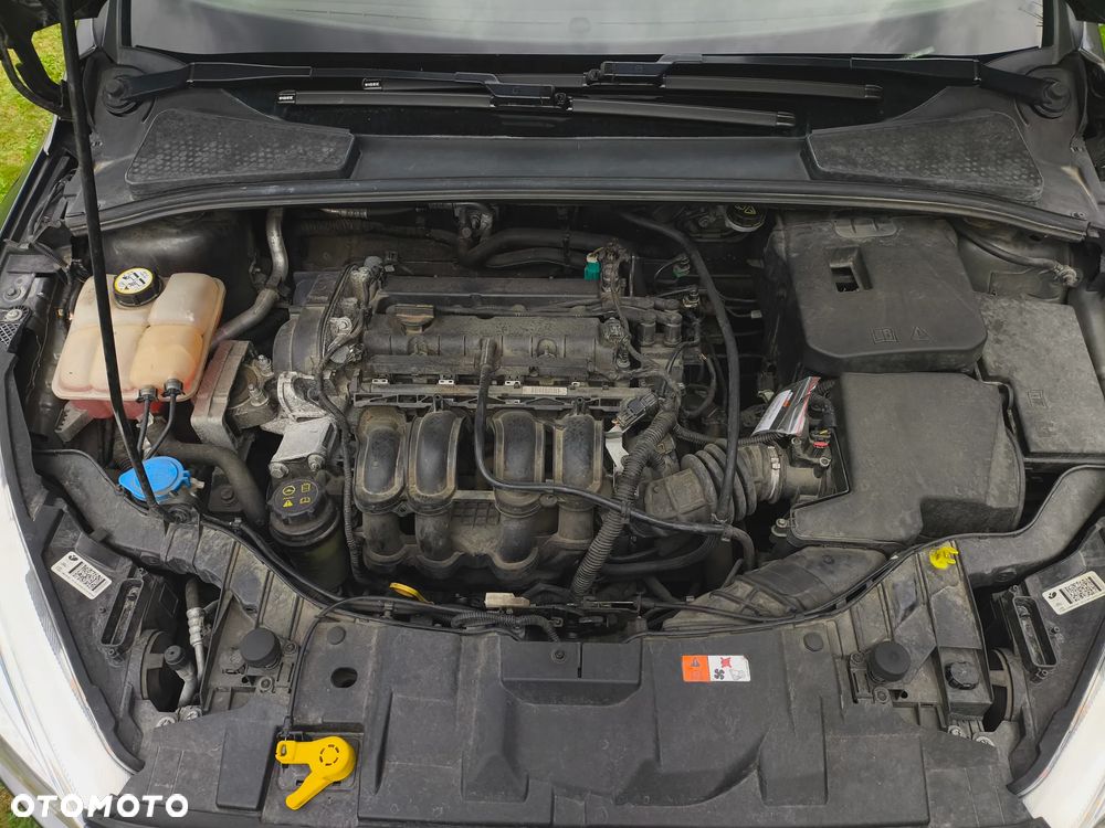 Ford Focus 1.6 Gold X (Edition Start) - 32