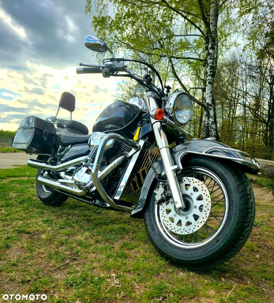 Suzuki VL 800 Volusia - 2