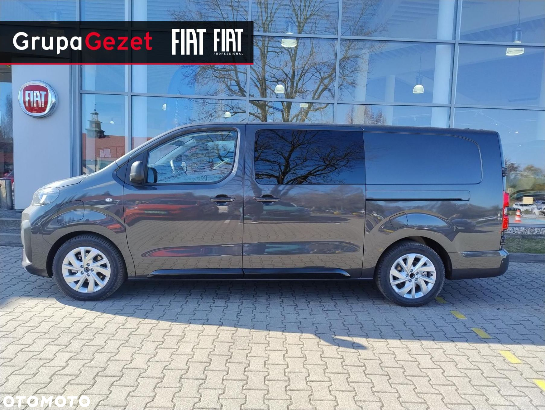 Fiat eScudo - 2