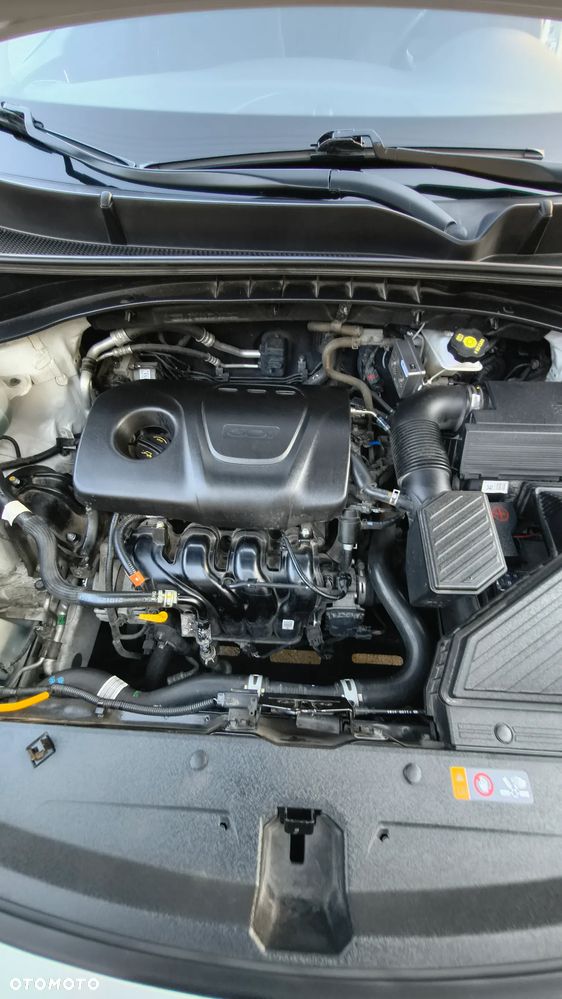 Kia Sportage 1.6 GDI L 2WD - 19