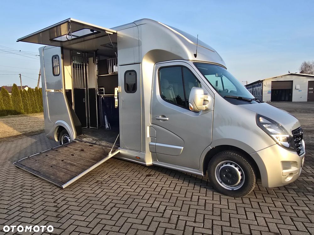 Opel Movano-Koniowóz - 4