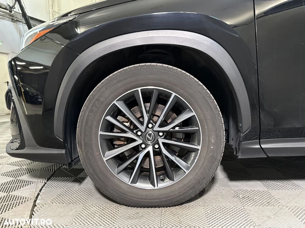 Lexus Seria NX - 13