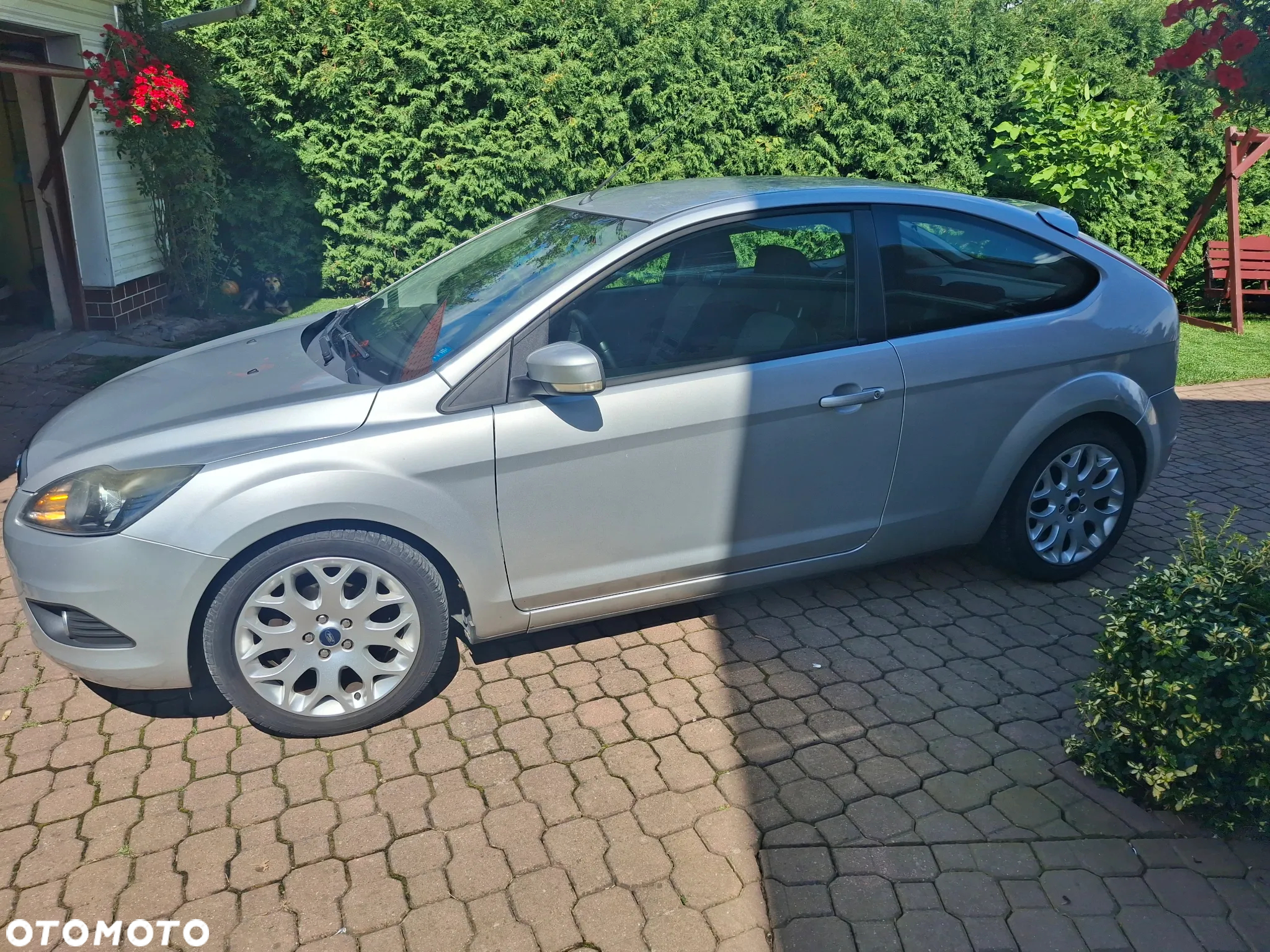 Ford Focus - 4