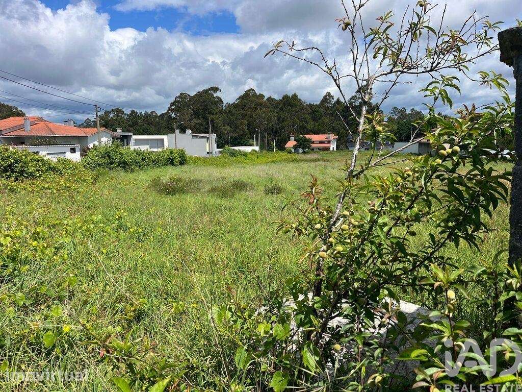 Terreno para construção em Antas - Grande imagem: 4/16