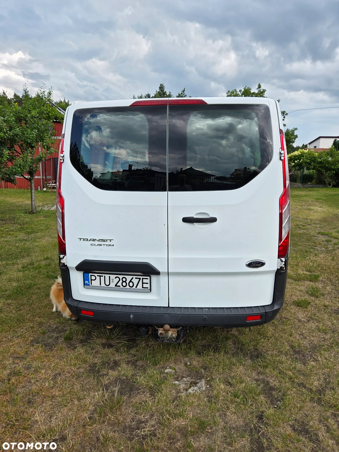 Ford Transit Custom 310 L2H1 Trend - 6