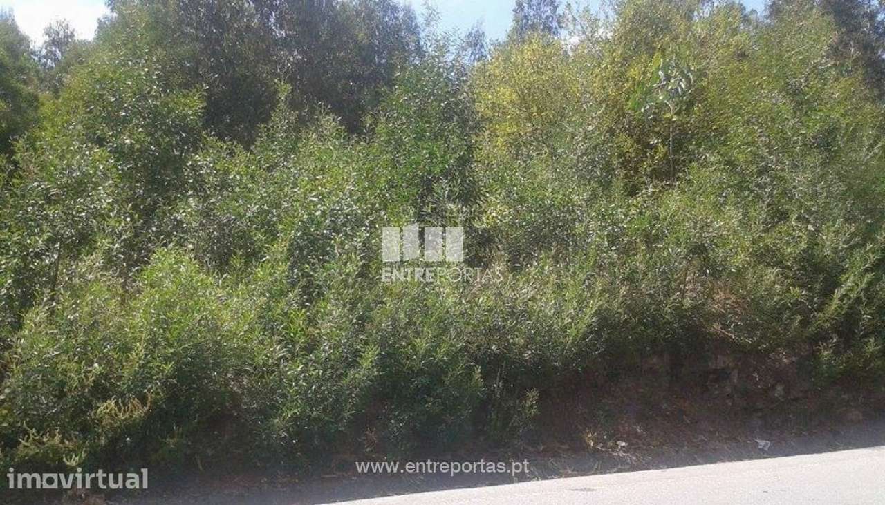Venda Terreno, S. Miguel de Paredes, Penafiel - Grande imagem: 2/7