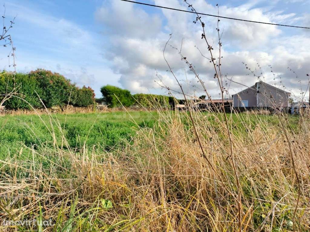 Terreno situado na Vila das Lajes - Ilha Terceira - Grande imagem: 3/15