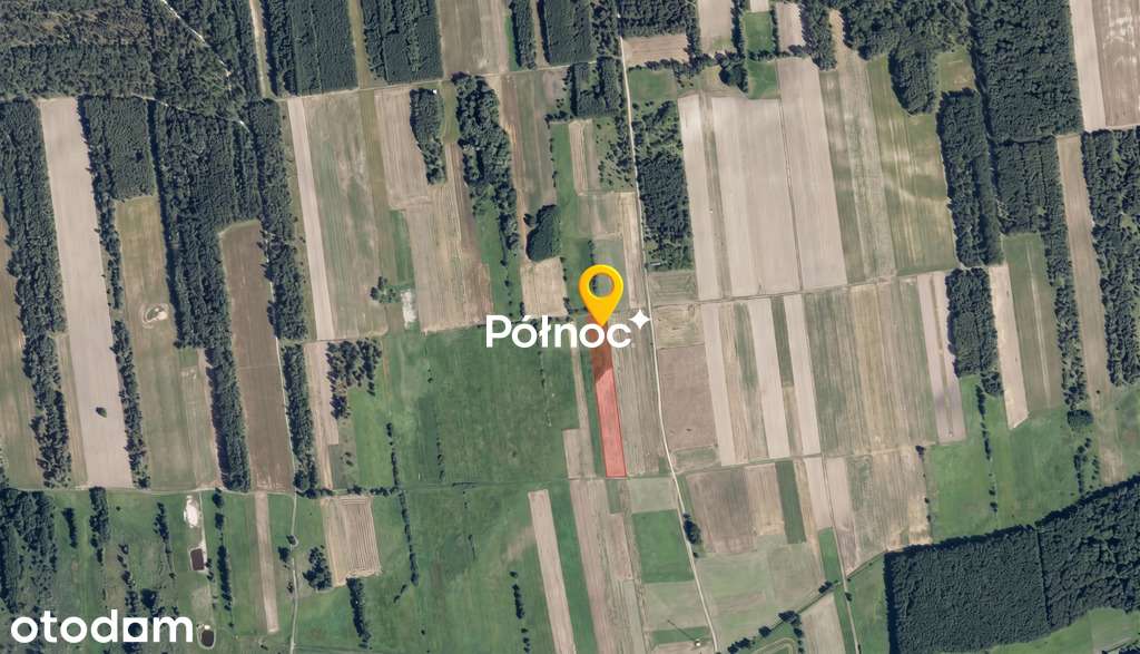 Łąka 8000m2 w  Małaszewiczach Dużych - Pełny obrazek: 5/6