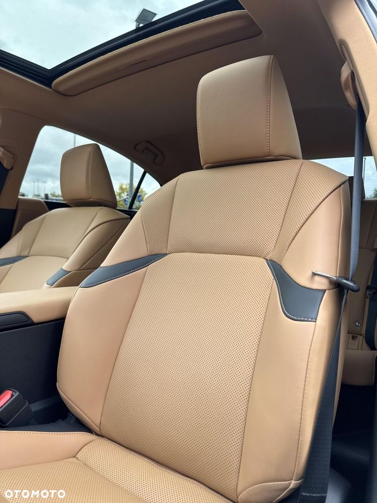Lexus ES 300h Business Edition - 10