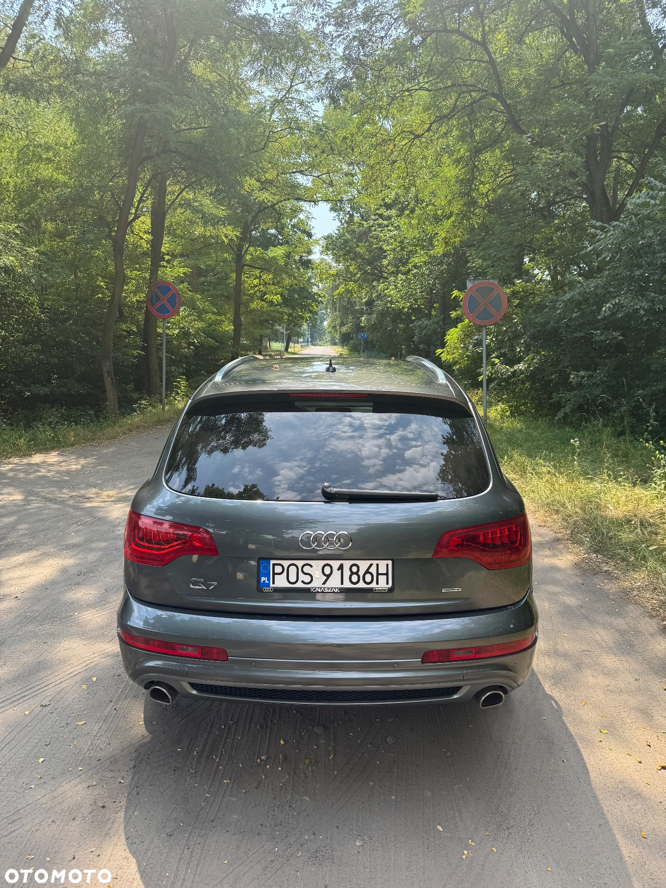 Audi Q7 3.0 TDI DPF Quattro Tiptronic - 10