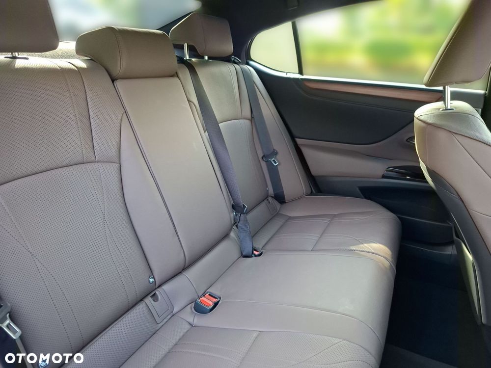 Lexus ES 300h Prestige - 19