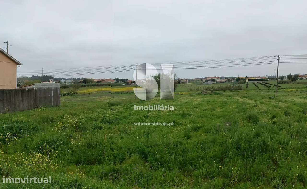 Terreno | Carvide - Grande imagem: 4/11