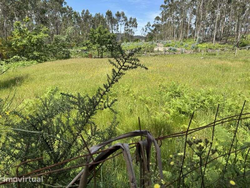 Terreno para construção - Grande imagem: 2/4