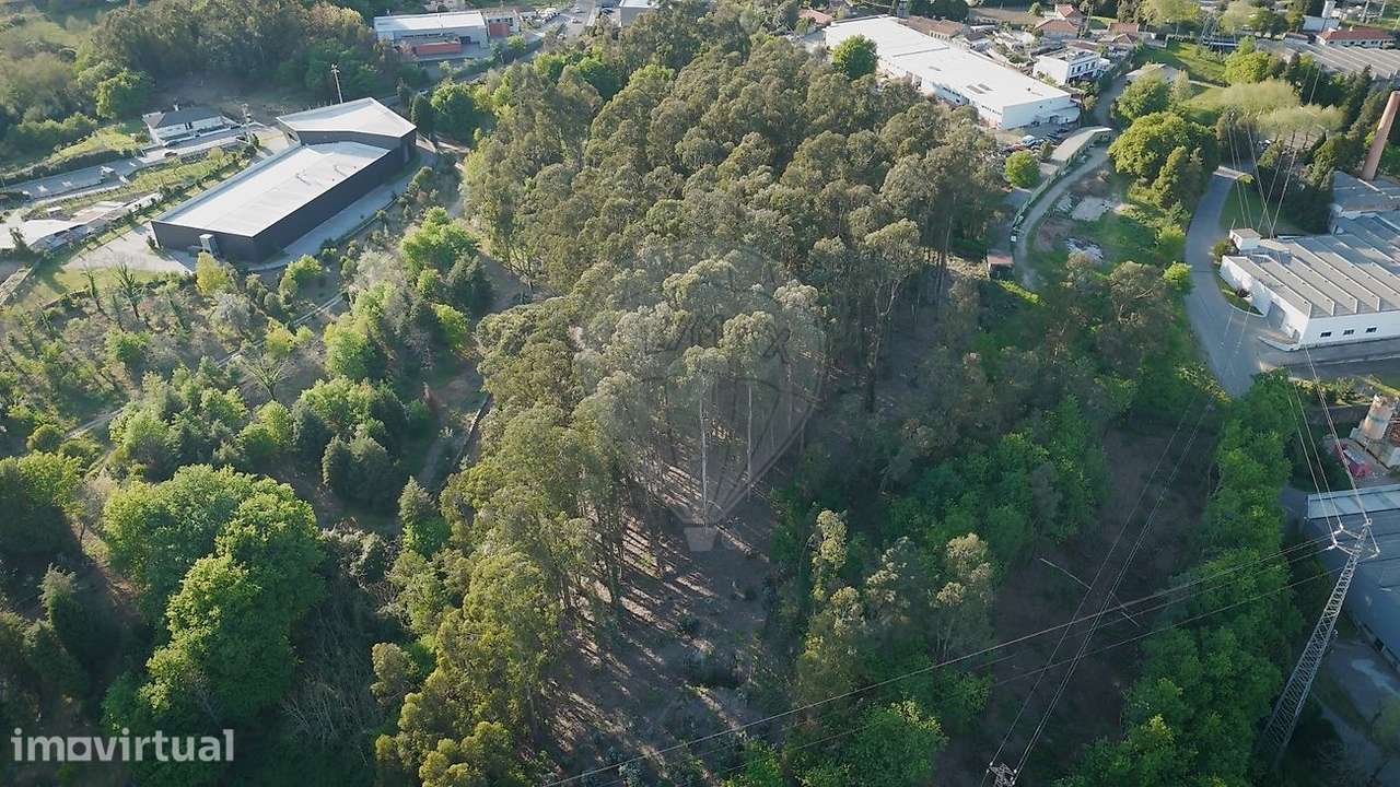 TERRENO COM 28.000M2  PARA CONSTRUÇÃO INDUSTRIAL EM RONFE - Grande imagem: 3/6