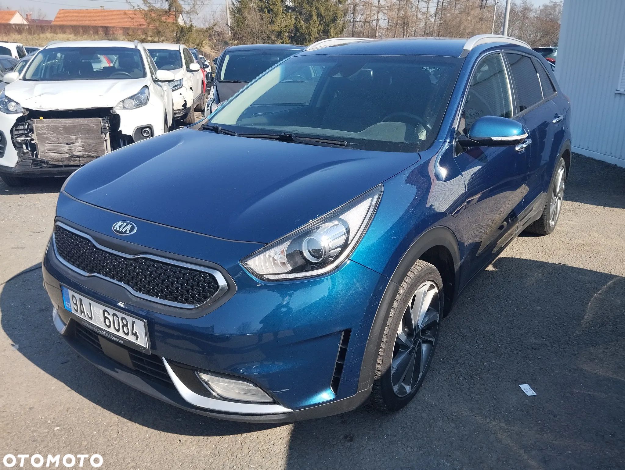 Kia Niro - 1