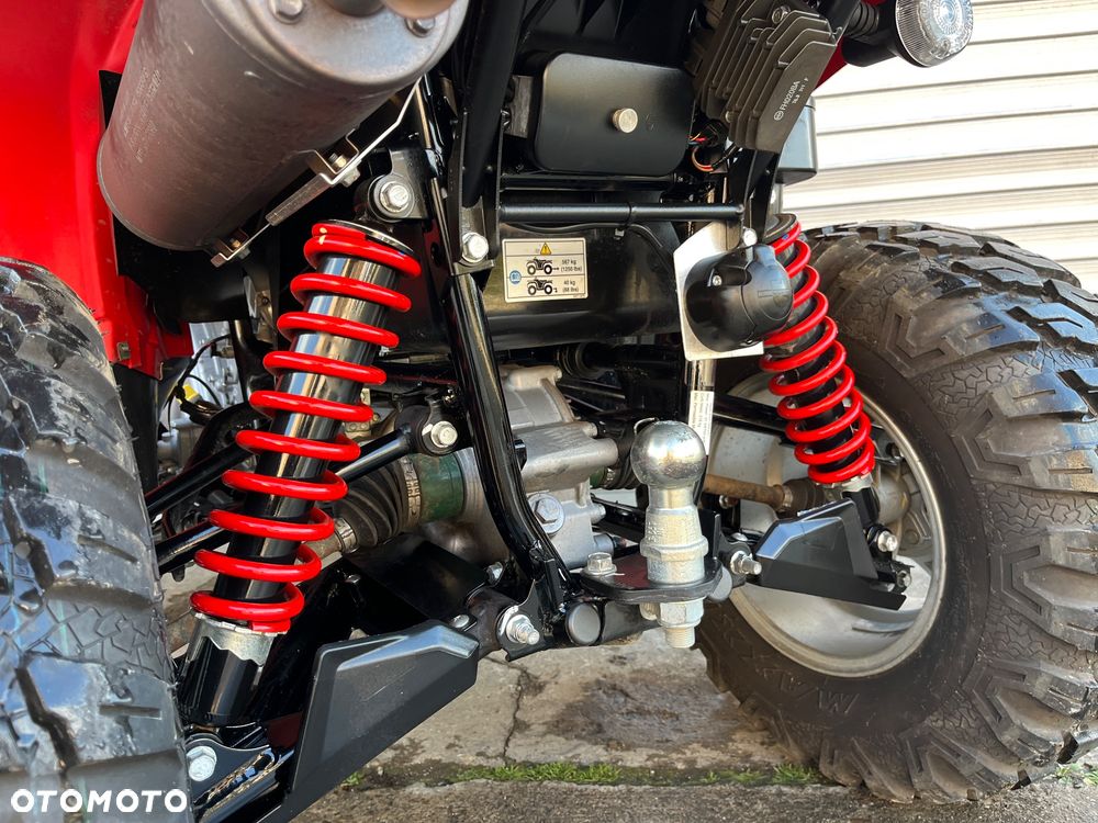 Kawasaki Brute Force - 17