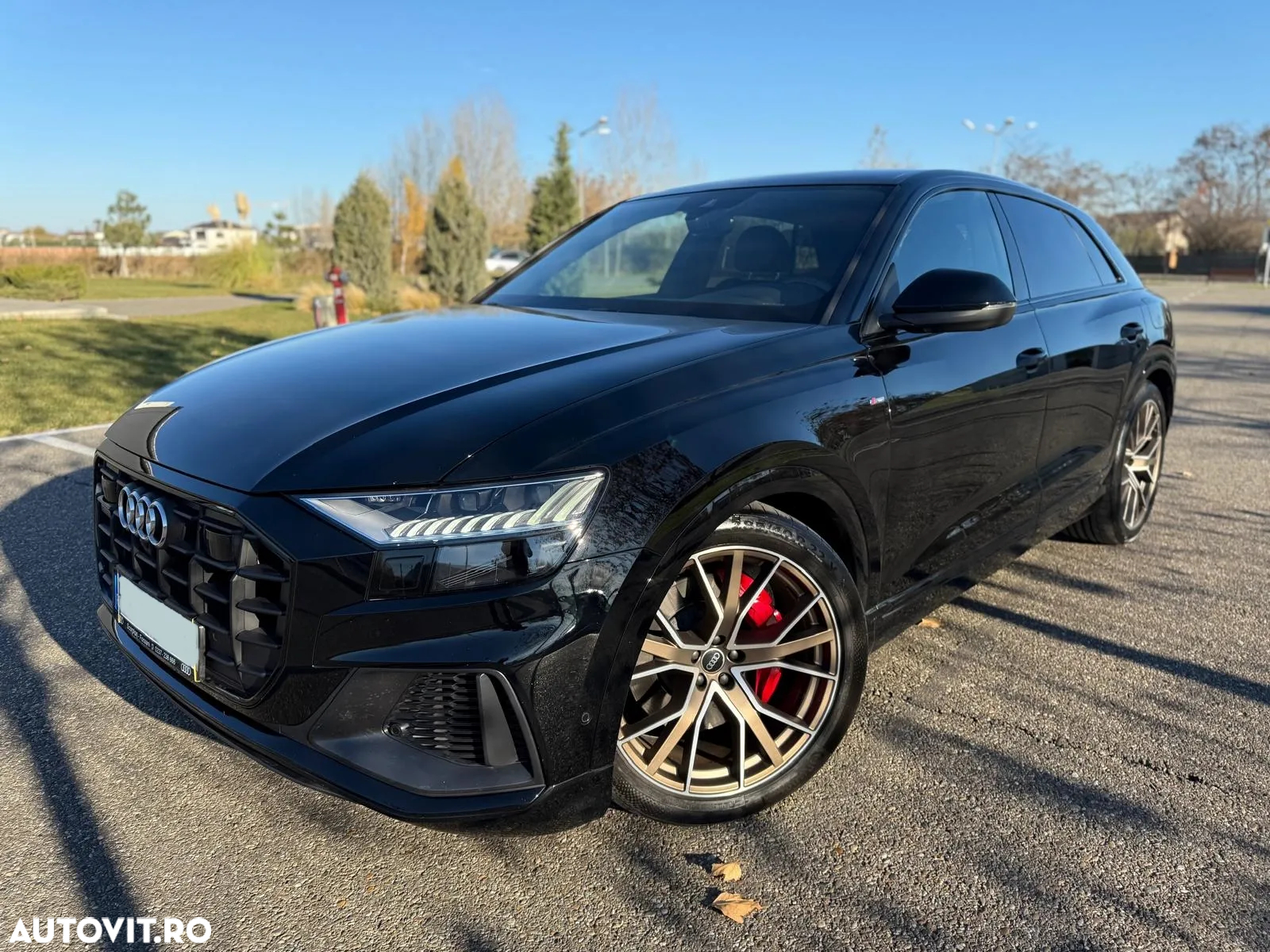 Audi Q8 3.0 60 TFSI e quattro Tiptronic - 36