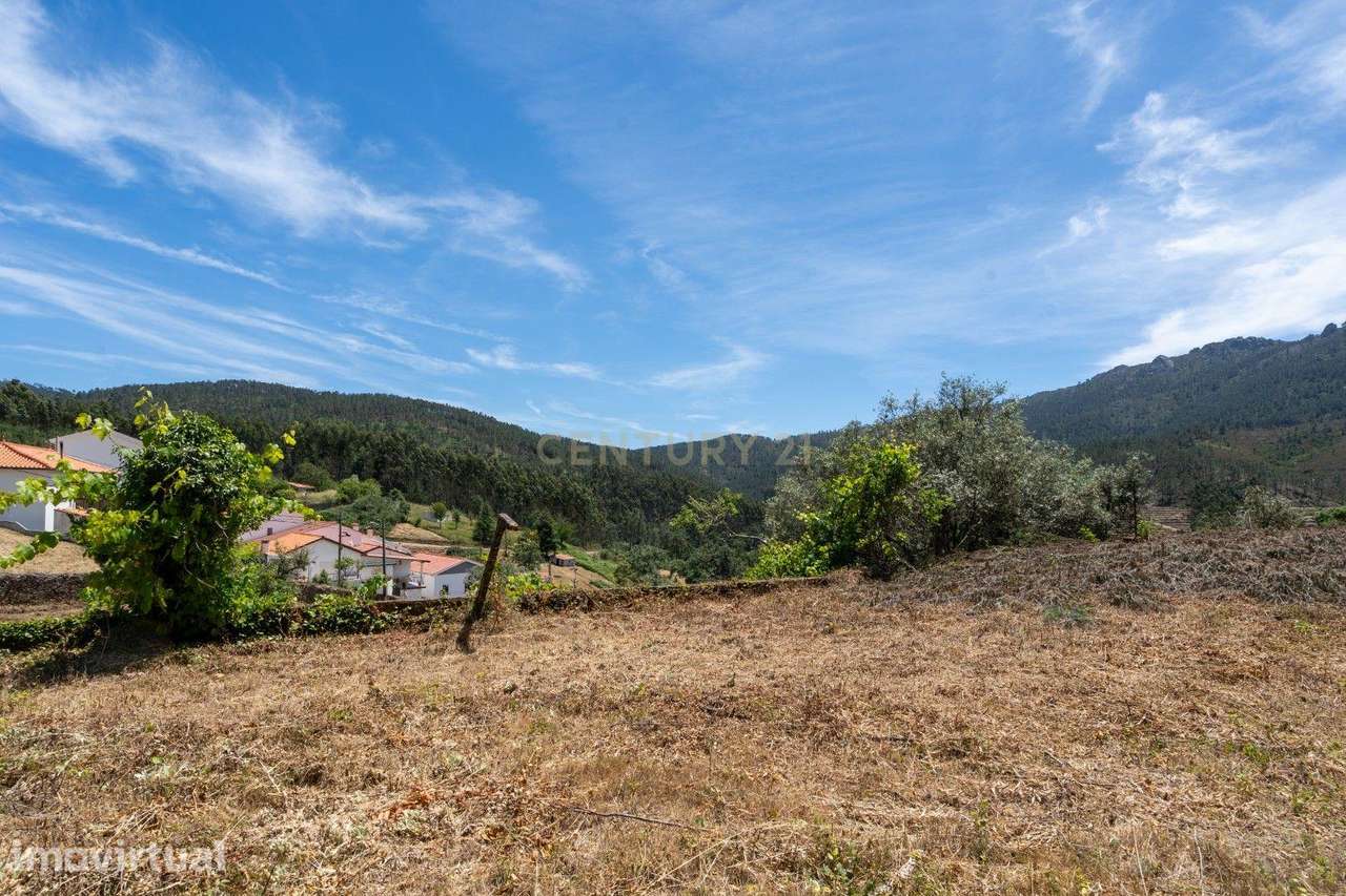 Quinta com duas casas independentes para restaurar e poço - Grande imagem: 5/50