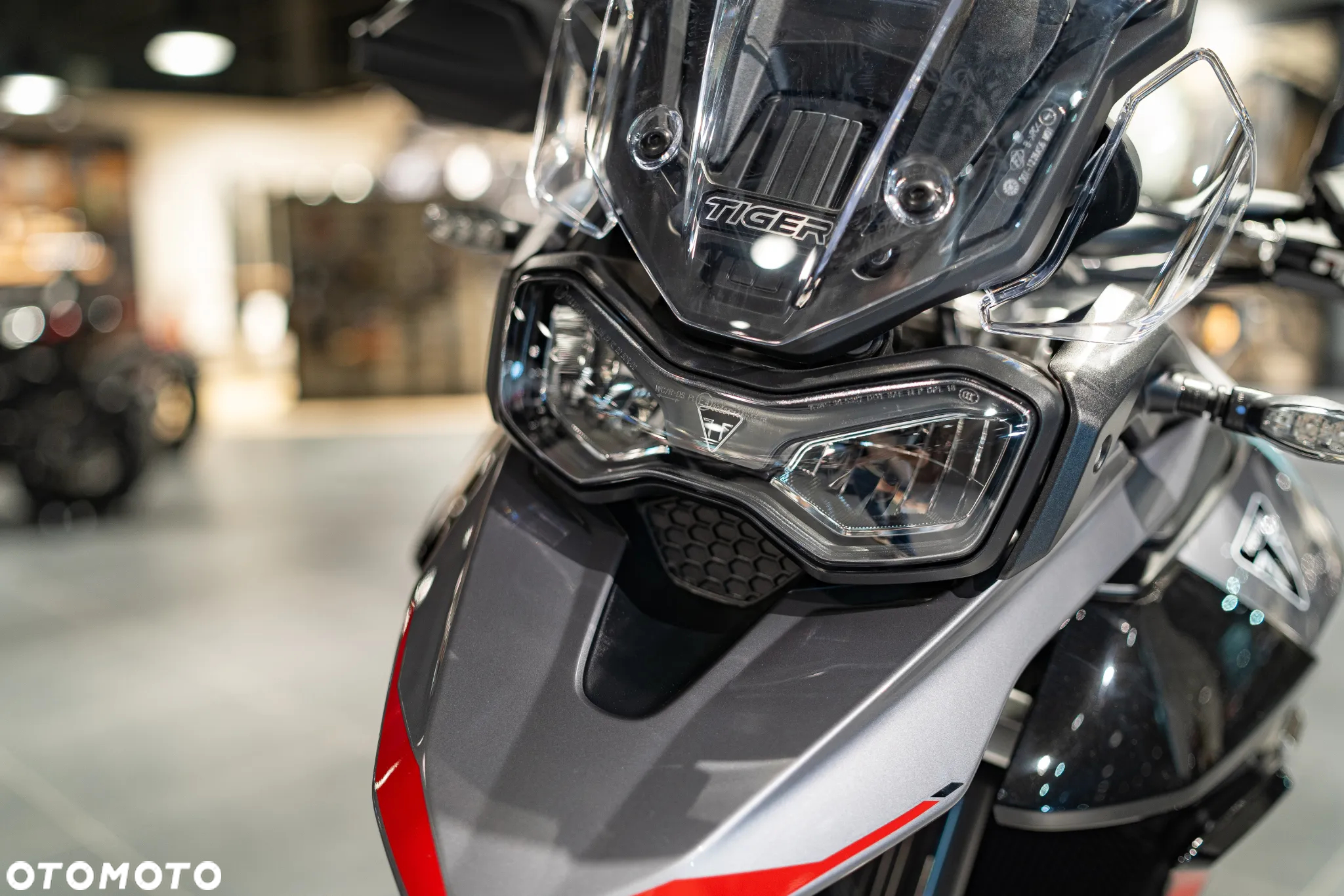 Triumph Tiger - 17
