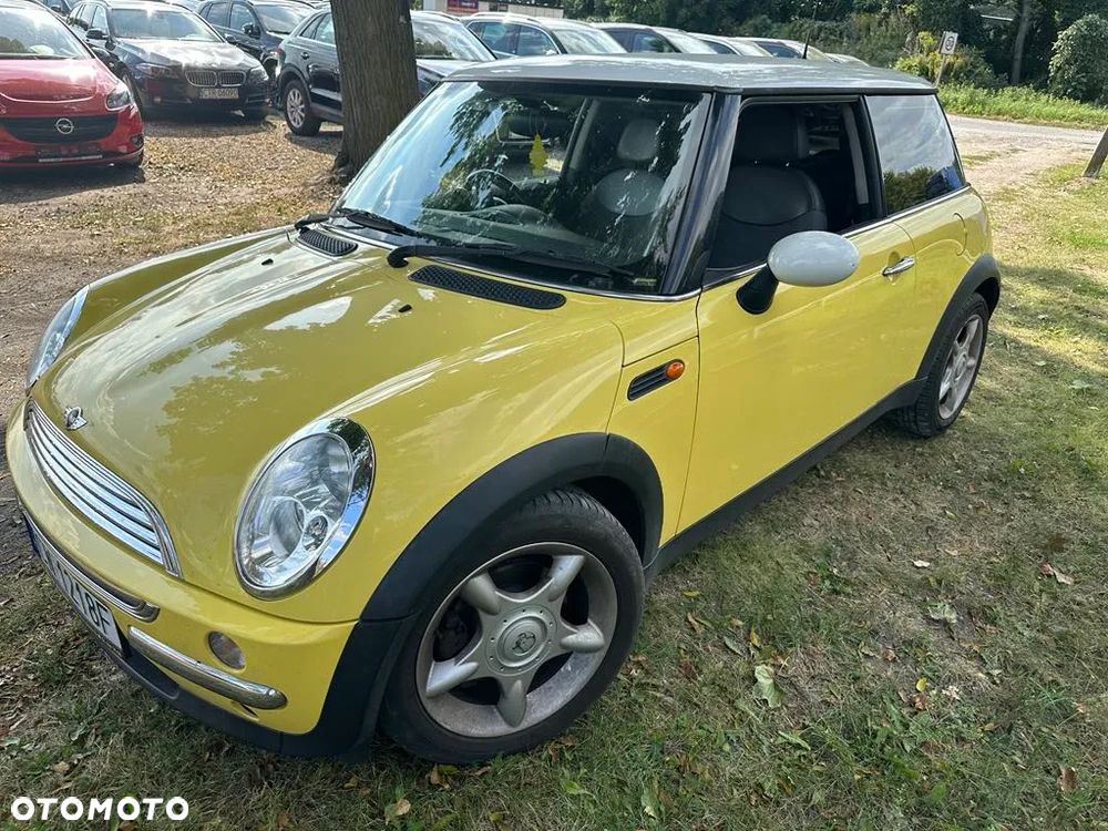 MINI Cooper pepper - 14