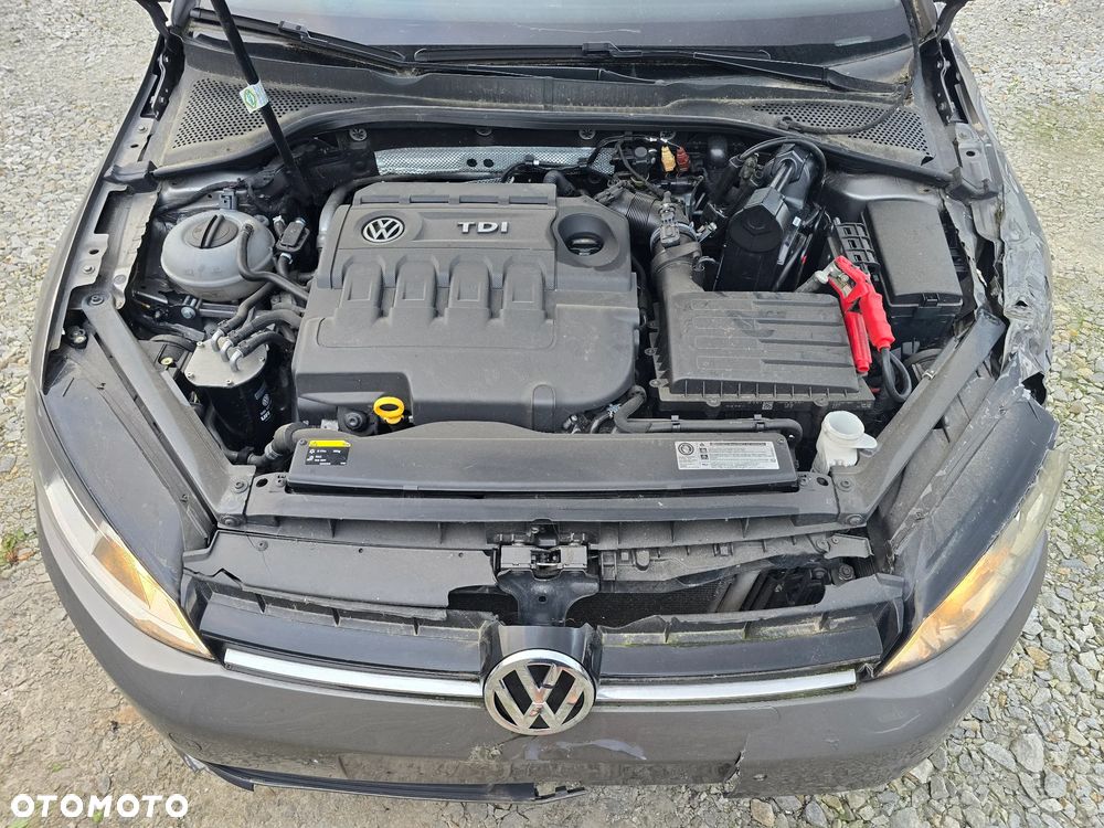 Volkswagen Golf 1.6 TDI BlueMotion Technology DSG Comfortline - 7